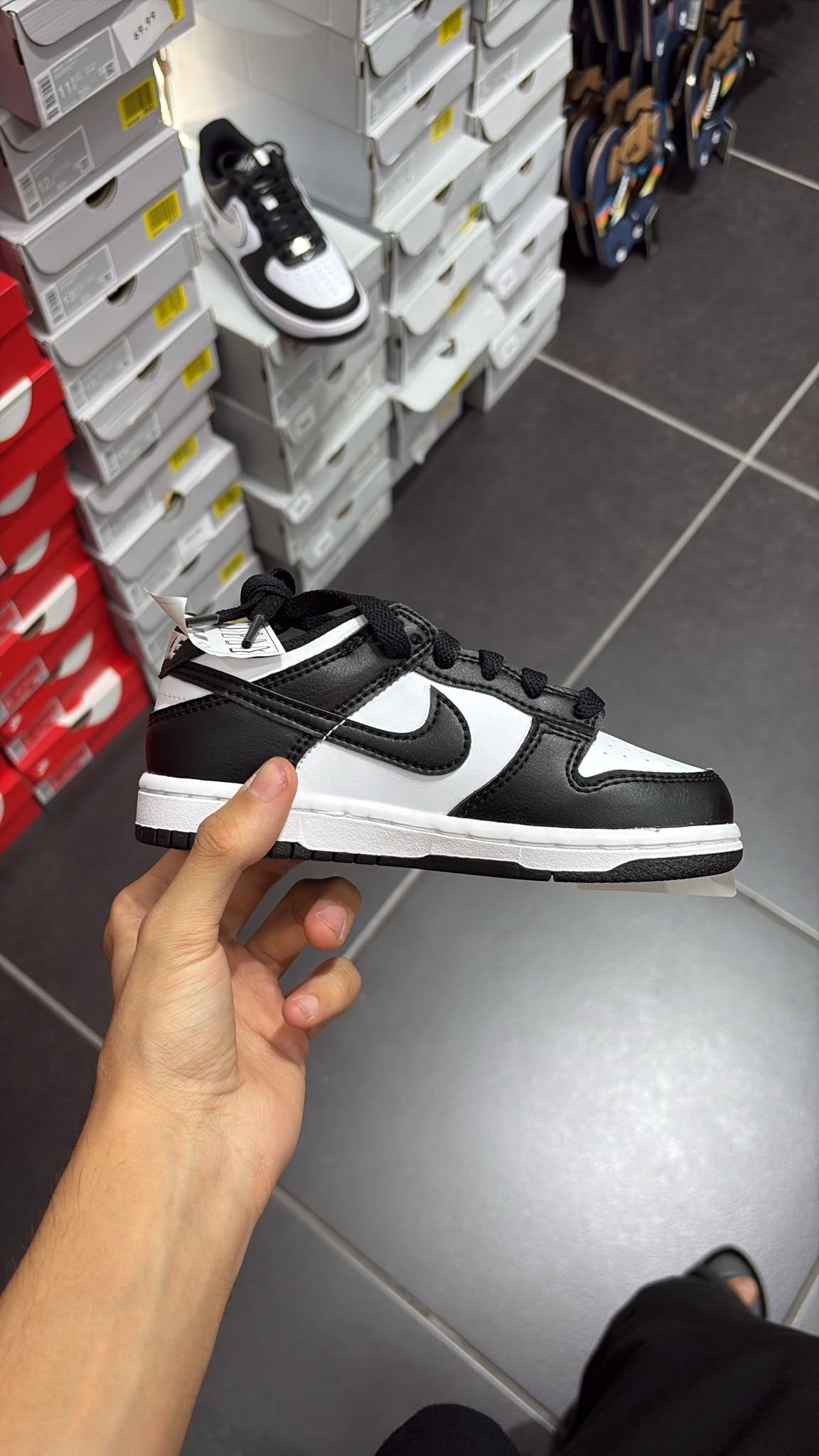 NIKE DUNK LOW KIDS