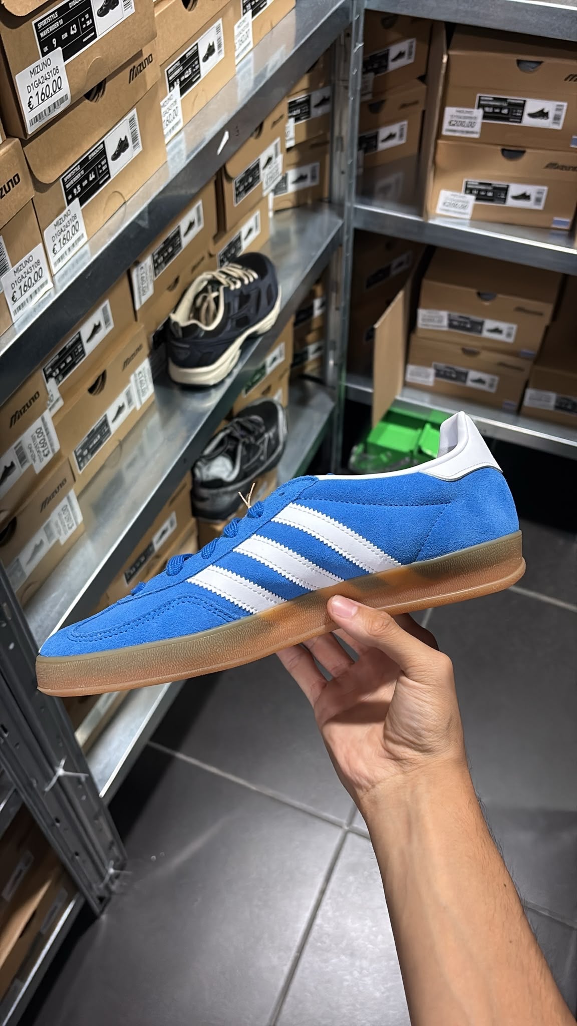 ADIDAS GAZZELLE INDOOR